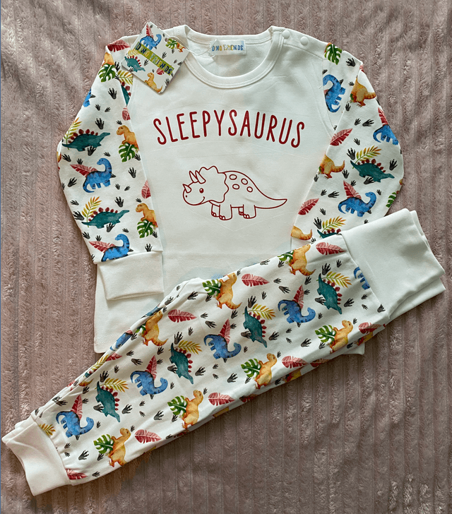 Dinosaur Pj's 
